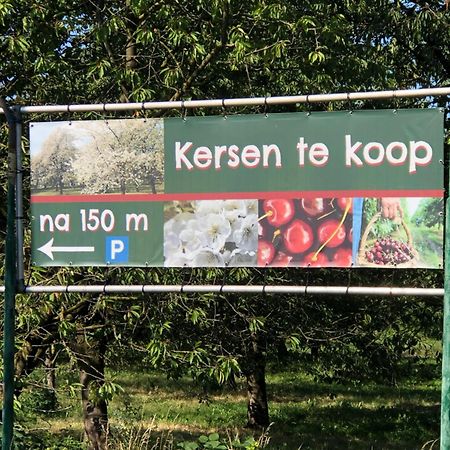 Gastenverblijf Op De Prins Hendrik Hoeve In Buren Buren  Eksteriør bilde
